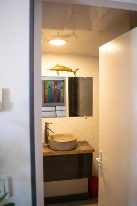 Le Flamboyant Apartman Saint-Gilles-les Bains Kültér fotó